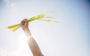 Christus lebt! - Phrase oder Ewigkeitswort auf dem Friedhof