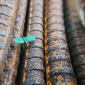 Geduld lebt von der Hoffnung