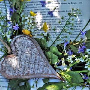 Das Ende der Zeit - Eskalation der Gesetzlosigkeit