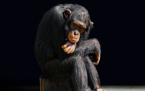 Information - keine Evolution - Das Gespräch bei bibel.TV