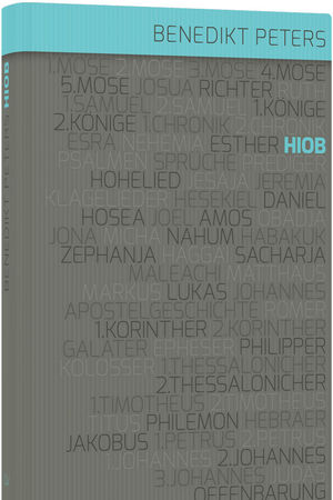 Kommentar zum Buch Hiob
