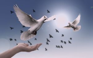 Die Pfingst- und Charismatische Bewegung, Teil 2/3: Lehre und Praxis