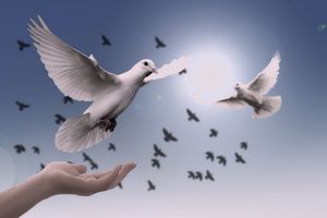 Die Pfingst- und Charismatische Bewegung, Teil 1/3: Entstehung und Geschichte