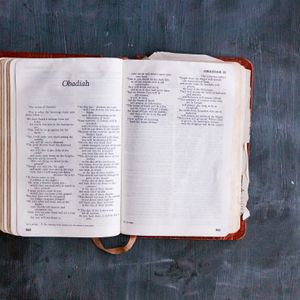 Einführung in das Buch Obadja