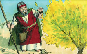 Bibel Illustrationen - Exodus 3