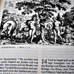 Wie wörtlich darf ich die Bibel nehmen?