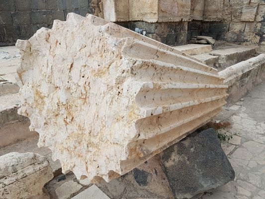 Wir betrachten den Römerbrief