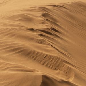 Brasilien 3: Tonis Wüstenwanderung | Die Doppeldecker Crew | Hörspiel für Kinder (Hörbuch)