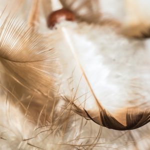 Der fünfte und sechste Engel