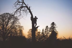 Das Geheimnis unserer Kraft