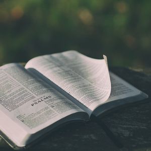 Bibelübersetzungen Teil 2/2