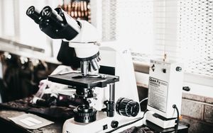Im Spannungsfeld zwischen Glaube und Naturwissenschaft