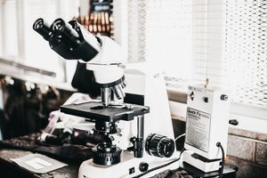 Im Spannungsfeld zwischen Glaube und Naturwissenschaft