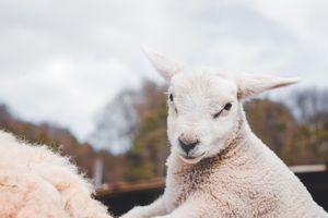Wer ist ein Gott wie du?