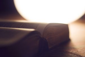 Die Bibel in der Vogelschau, Teil 2/2