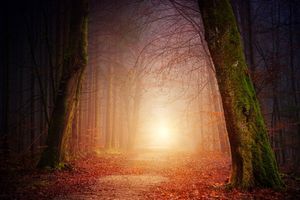 Was kommt nach dem Tod?