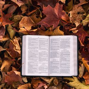 Die Bibel im Kreuzfeuer
