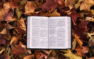 Die Bibel im Kreuzfeuer