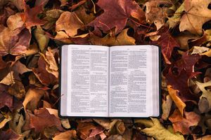 Die Mitte der Bibel