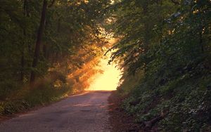 Das ist der Weg!