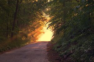 Das ist der Weg!