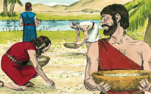 Bibel Illustrationen - Exodus 16