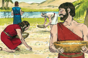 Bibel Illustrationen - Exodus 16
