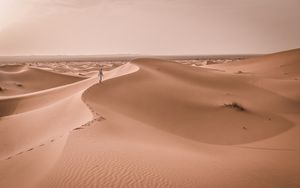 Wunderbare Führungen auf Wüstenwegen