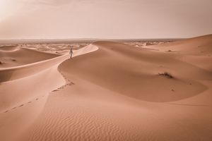 Wunderbare Führungen auf Wüstenwegen