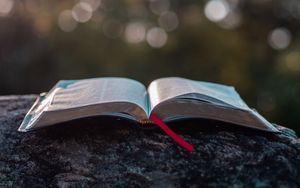Leuterung der heidnischen Nachbarn Judas 