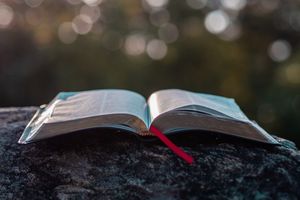 Leuterung der heidnischen Nachbarn Judas 