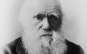 Wie stand Darwin zu Gott?