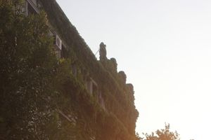 Das neue Jerusalem 