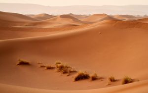Ägypten 4: Flucht durch die Sahara (2/3)