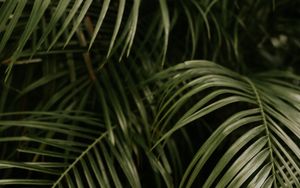 Gottesdienst am Palmsonntag