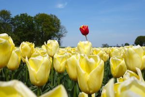 Vermeide Vorurteile