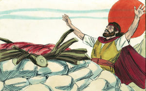 Bibel Illustrationen - 1. Könige 18