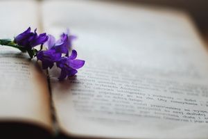 Einführung in das Buch des Propheten Hosea