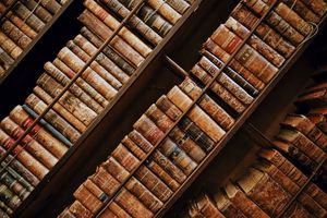 Da Vinci und der Frauenförderer