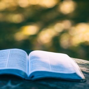 Das Buch des Propheten Joel