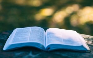 Das Buch des Propheten Joel