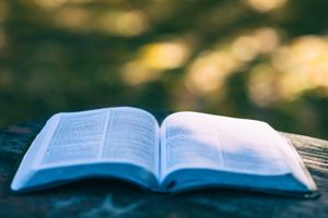 Das Buch des Propheten Joel