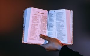 Einführung in das Buch der Sprüche 
