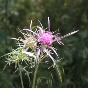 Jesus kam nach Nazareth