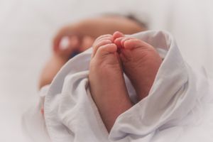 Empörung gegen Jesus - "Bist Du Gottes Sohn?"