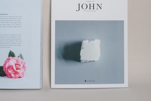 Predigt über Johannes 1, 11-12