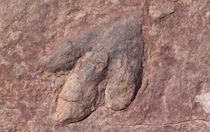 Passten die Saurier in die Arche?