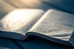 Bibel und Wahrheit