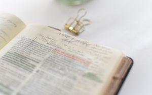 Fehler und Widersprüche in der Bibel?