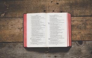 Einführung in das Buch der Psalmen, Teil 1/3